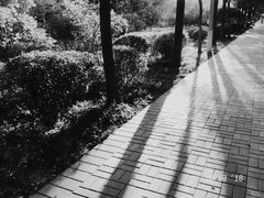-洛阳市隋唐城遗址植物园