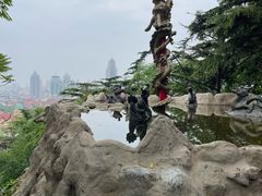 -信号山公园