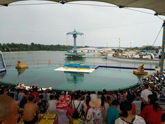 -秦皇岛乐岛海洋王国