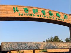 -北京野生动物园