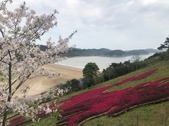 -东海半边山旅游度假区