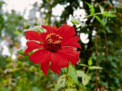 -昆明市金殿名胜区