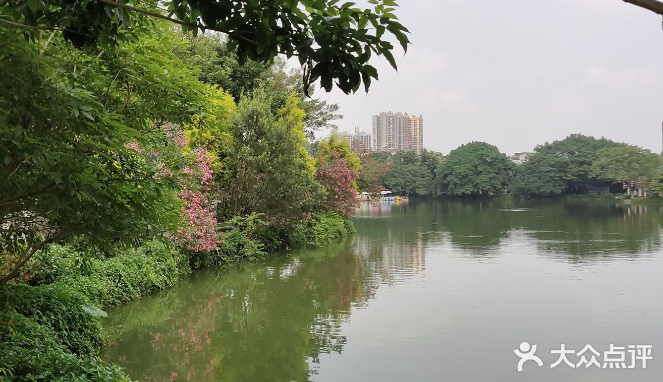 五层山顶楼阁，小榄全景一览无余