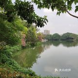 五层山顶楼阁，小榄全景一览无余