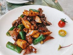 -大树餐厅(红旗街万达店)