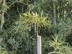 -陶祖圣境风景区