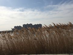 -象湖生态湿地公园