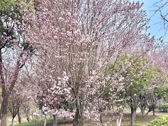 -梁鸿国家湿地公园