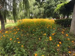 -梁鸿国家湿地公园