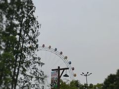 -上海野生动物园