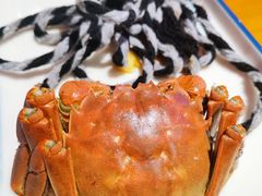 -二钳洞庭虾蟹·江湖菜(成都鹭岛店)