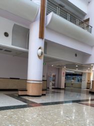 -上海交通大学医学院附属上海儿童医学中心(陆家嘴总院区)