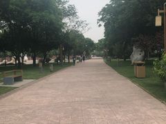 -唐城墙遗址公园