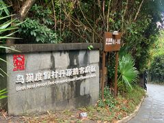 -三亚亚龙湾人间天堂鸟巢度假村