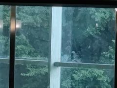 -必胜客(云汇天地店)