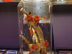 -丙申臺火锅