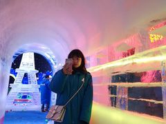 -阿尔卑斯冰雪世界滑冰场