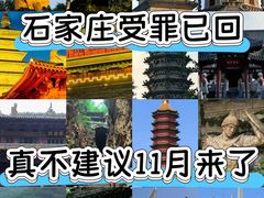 -石家庄市动物园