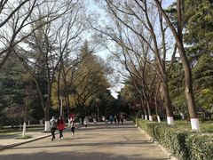 -陕西师范大学(雁塔校区)