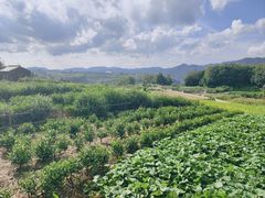 -乌石村