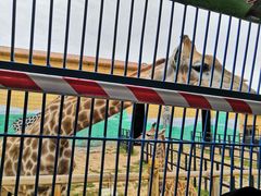 -鄂尔多斯野生动物园