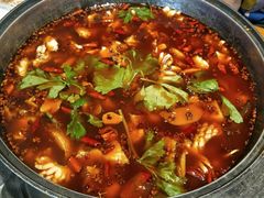 -重庆乌鱼庄·龙滋鲜(青羊大道店)