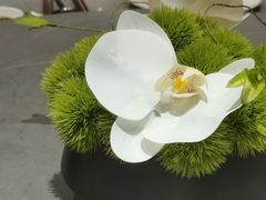 -神洲四海大酒楼(王府井澳门中心店)