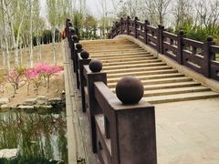 -大兴滨河森林公园