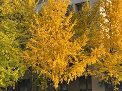 -浙江大学(紫金港校区)