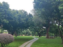 -荔枝公园(福田区)