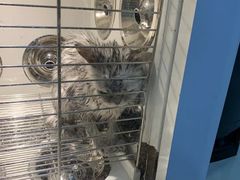 -佳雯宠物医院(金华南路分院)