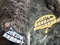 -美联众合动物医院·24h转诊中心