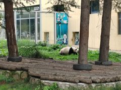 -西安秦岭野生动物园