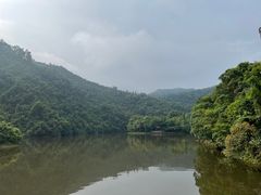 -鼎湖山风景区