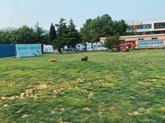-趣玩宠物乐园寄养训犬训狗游泳池