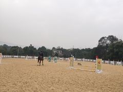 -重庆和泰马术俱乐部