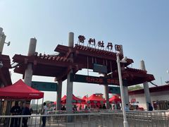 -曹州牡丹园