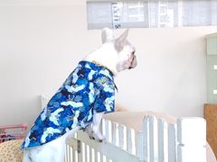 -怪兽屋·羊驼·猫咖·狗咖(俊华广场店)