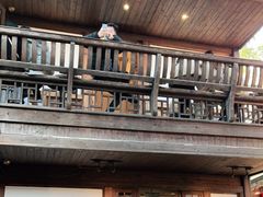 -星巴克(福州三坊七巷店)