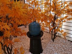 -汤里来温泉