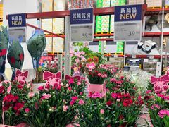 -山姆会员商店(上海浦东店)