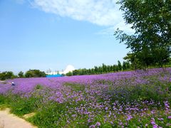 -渔岛海洋度假区