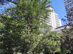 -北京广电国际酒店