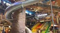 -卡通尼·Safari非洲探索乐园·生日会(金桥国际商业广场店)