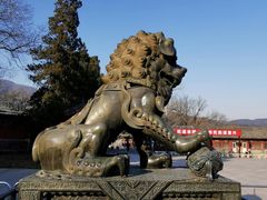-香山公园
