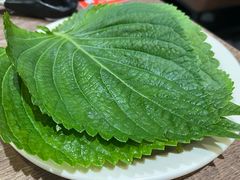 -火炉火自助餐(五道口购物中心店)