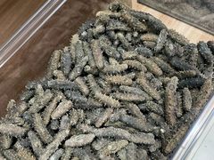 -宫品海参专卖店(静安大宁店)