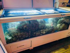 -真情鲍鱼海鲜汤