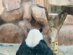 -南宁市动物园