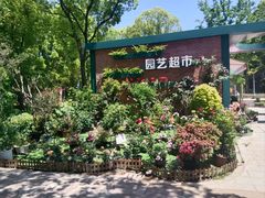 -新江湾城公园